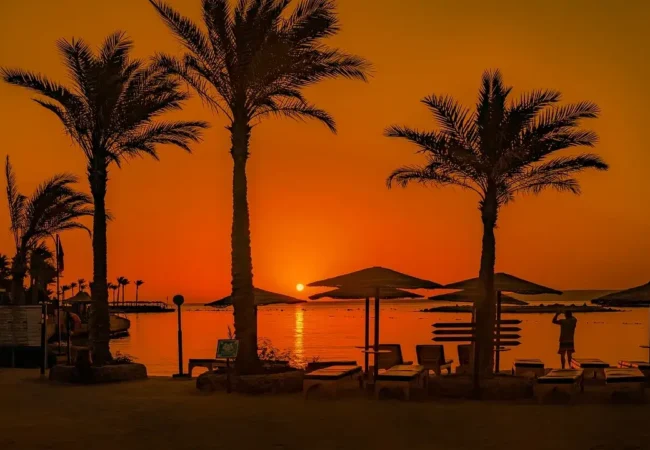 thumbnail-image